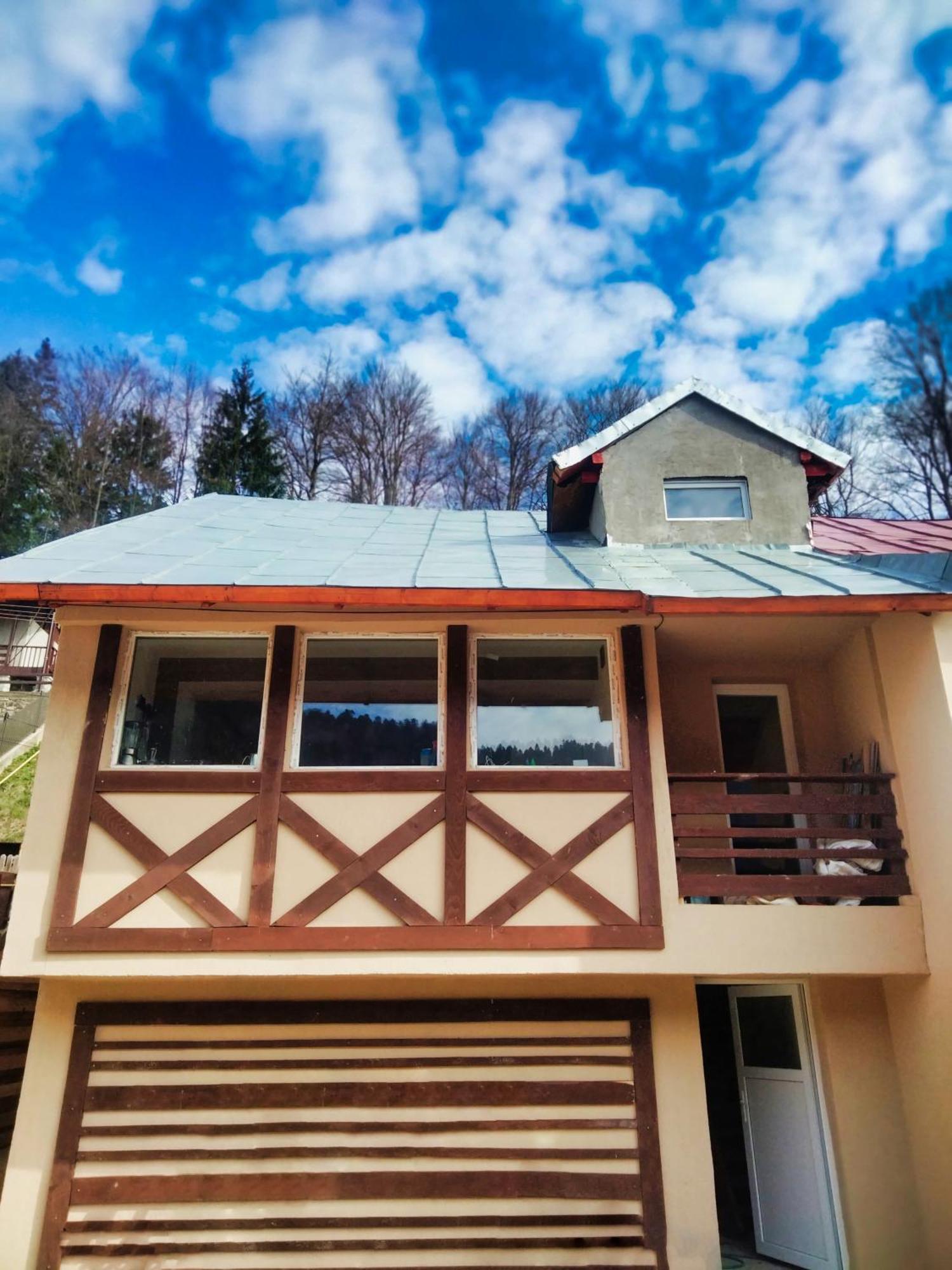 Ferienwohnung Doi Iepuri Azuga Exterior foto