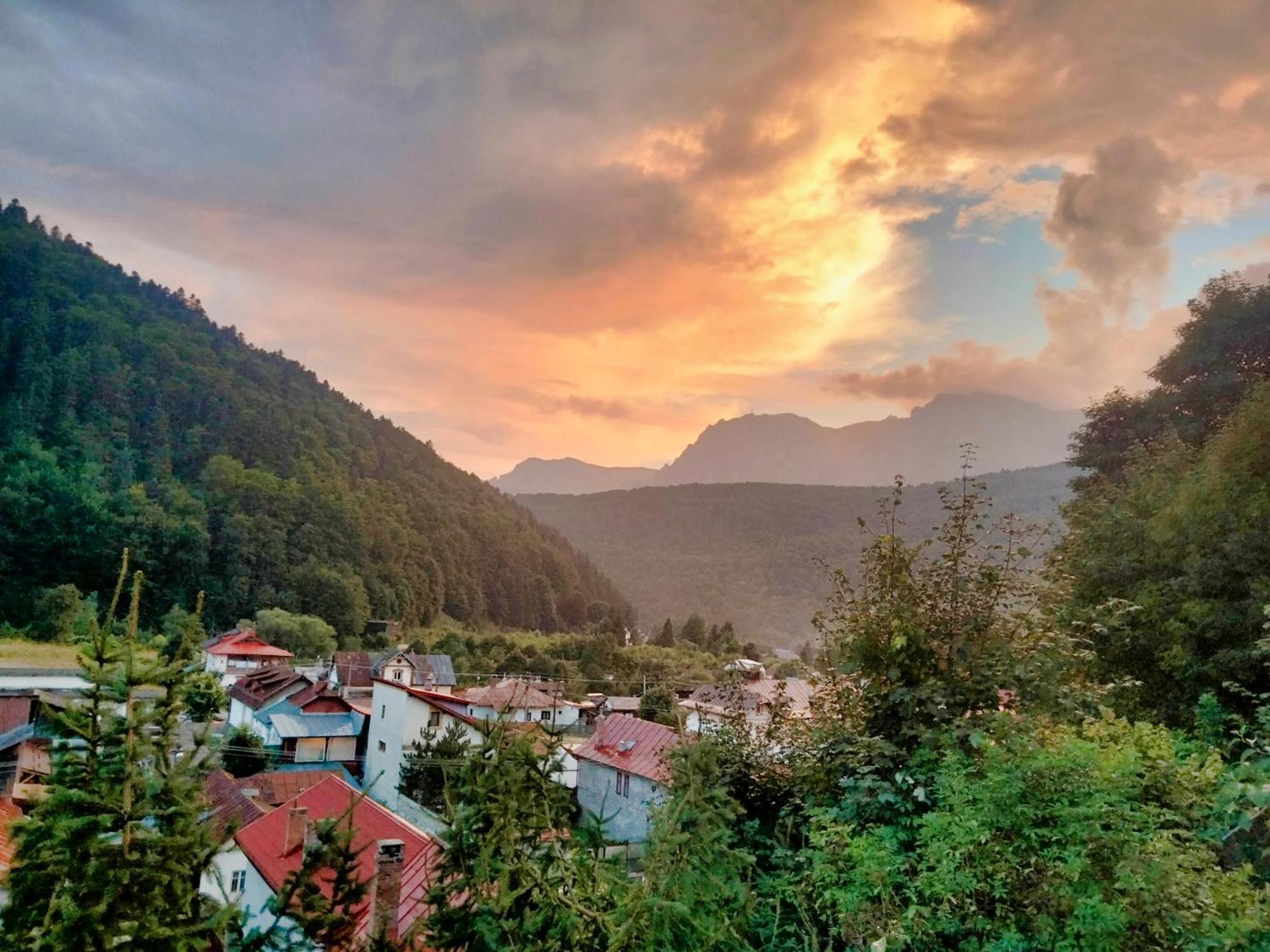 Ferienwohnung Doi Iepuri Azuga Exterior foto